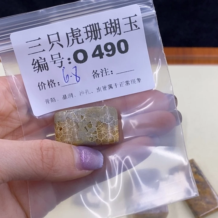 硅化珊瑚（珊瑚玉）未镶嵌o360草*汁