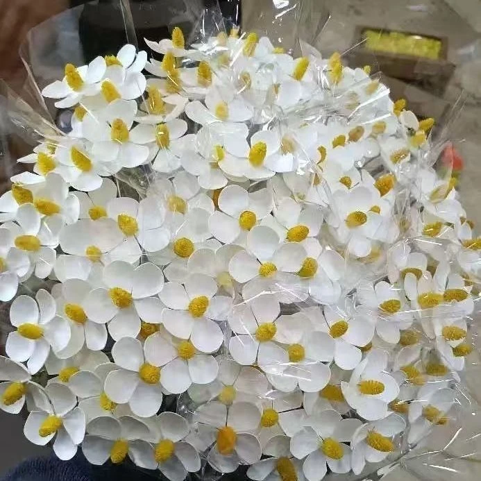 紫罗兰仿真花干花手工插花ins起泡材质永生花混搭网红花束白色