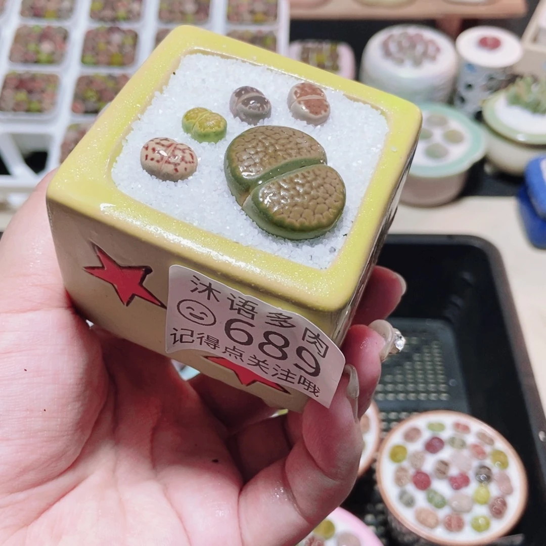 一物一拍 所见即所得 689