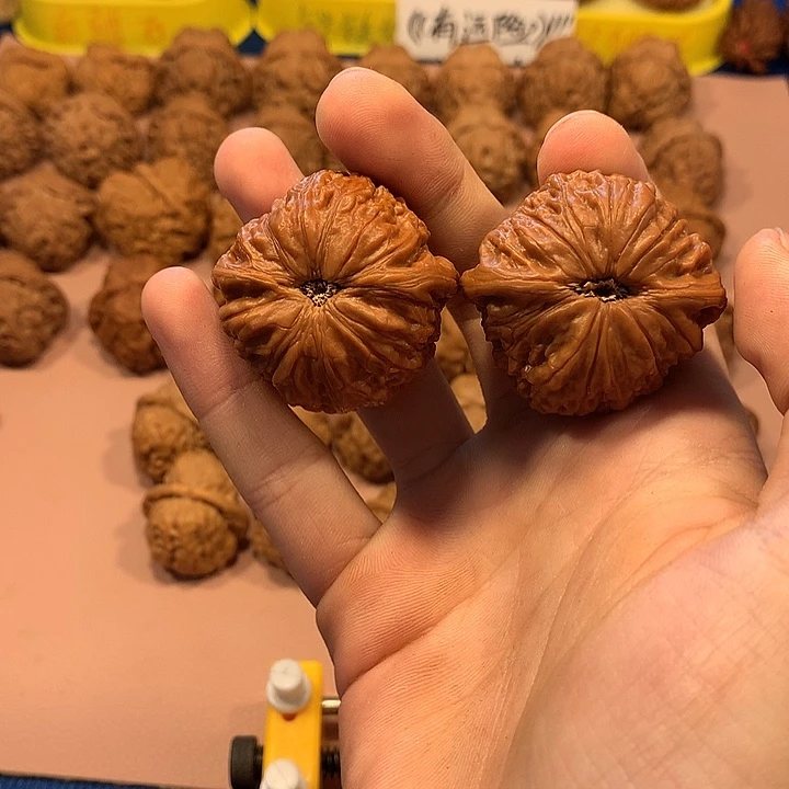 铁锤妹妹40精对。     核桃
