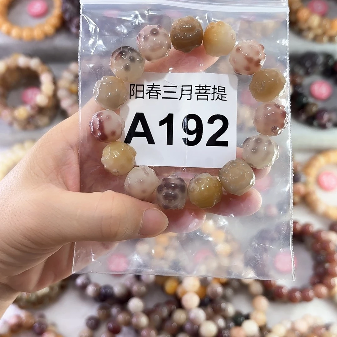 惊****菩提根/象牙果手串