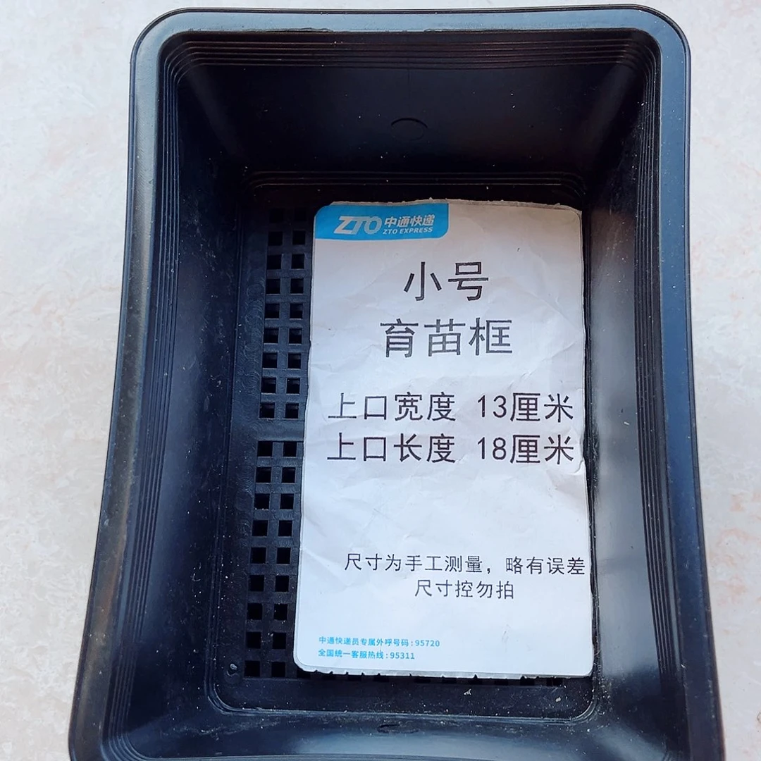 塑料小号育苗框黑色10个