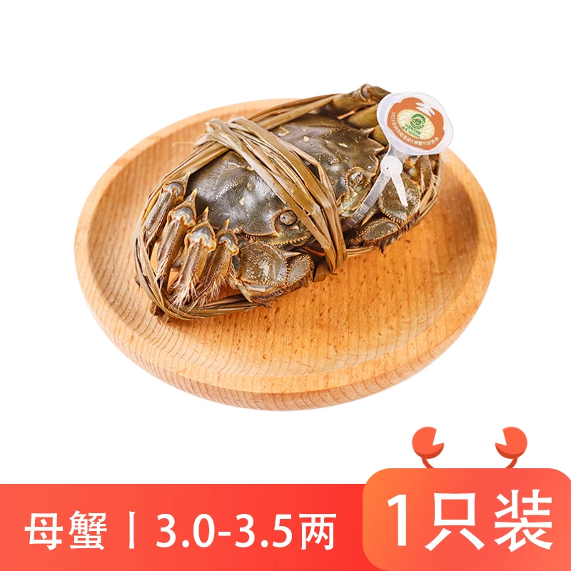 阳澄湖大闸蟹(母蟹)150-175g/只 3-3.5两 塘养