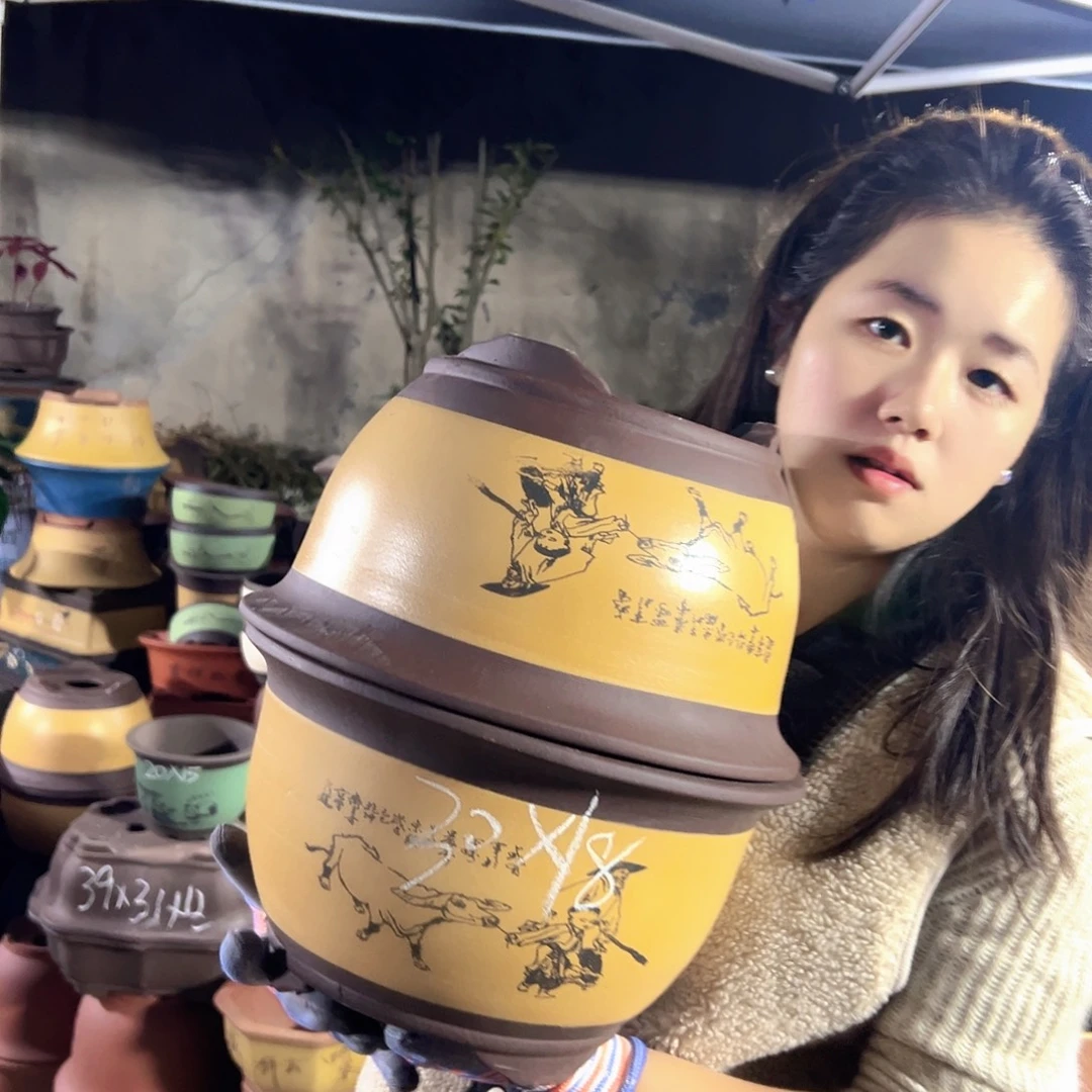 30+30黄色放牛娃三角金钟