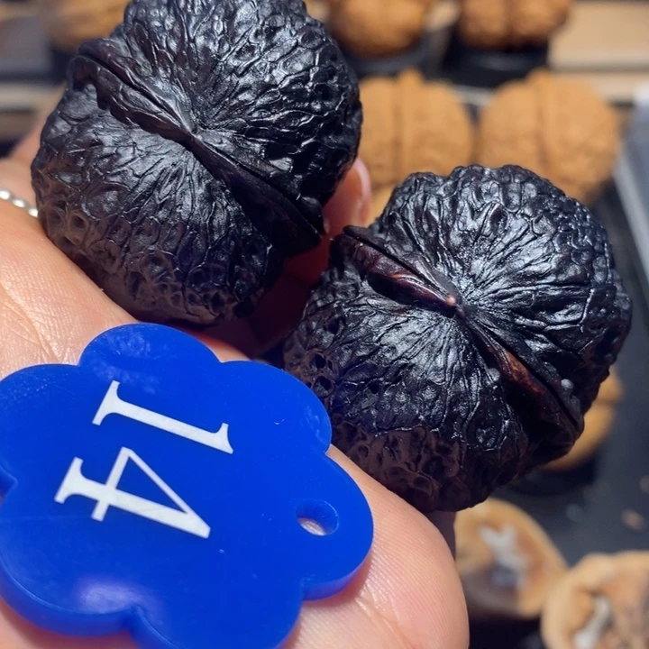 核桃黑龙蛋核桃尺寸41