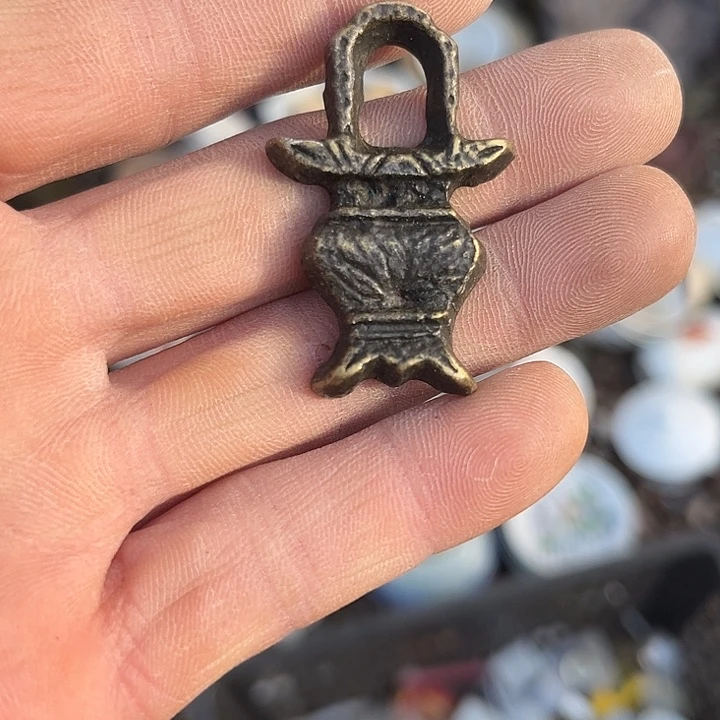 大***子杂色豆（科檀/科特迪瓦檀木）