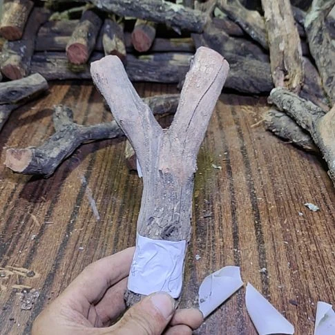 行***者火琉璃原杈，不保沉水，慎拍！