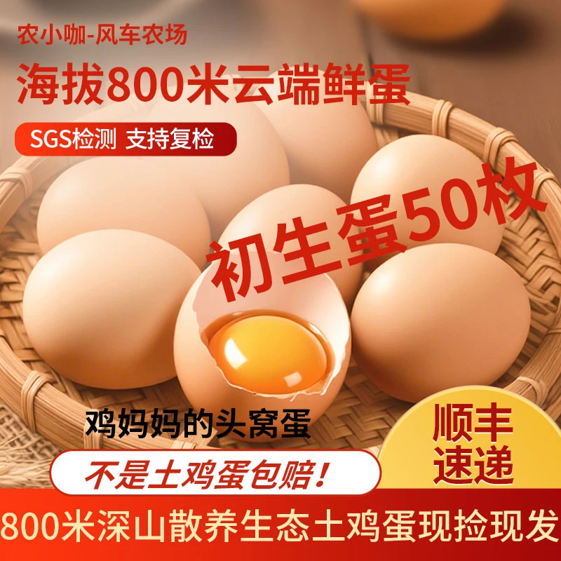 农小咖黄山深山散养土鸡蛋初生蛋现捡现发新鲜柴鸡蛋有机谷物鸡蛋