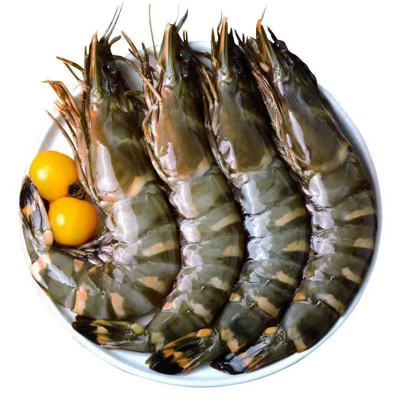 鲜冻黑虎虾 老虎虾 16-20规格 20-30只左右/盒