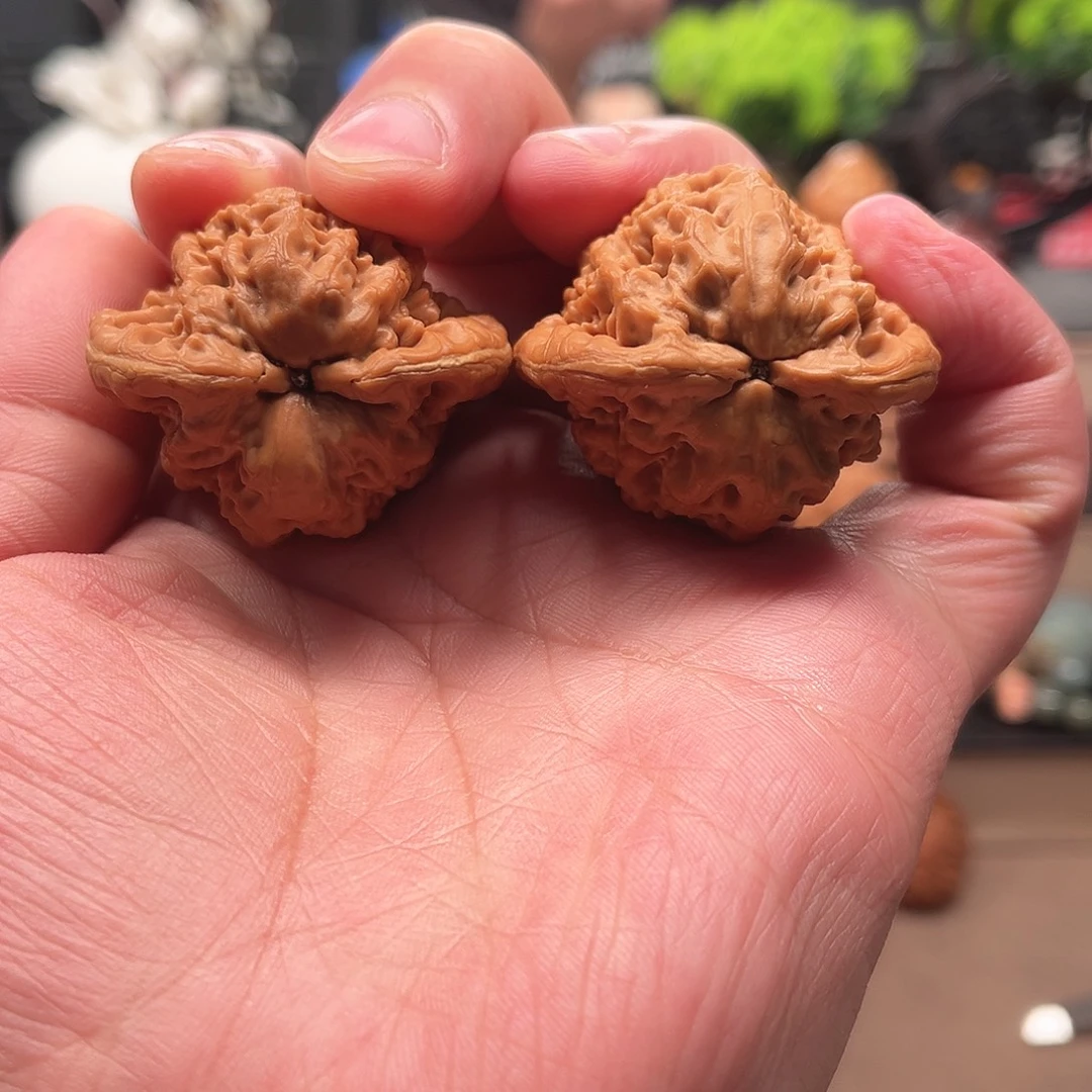 把件桃核金公子核桃