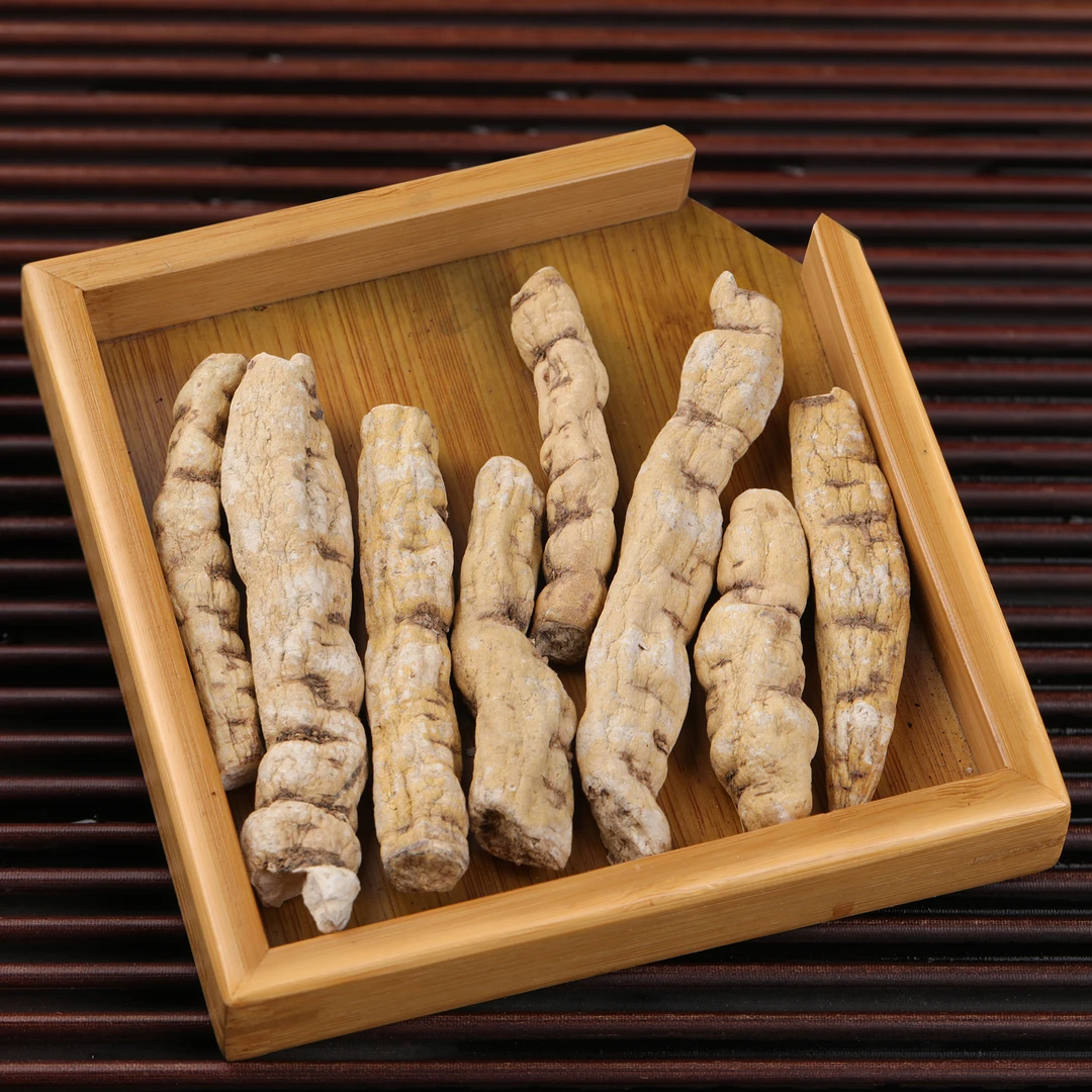 【视频专属】牛筋参益身茶