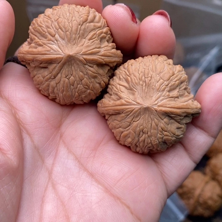 核桃泥鳅背39尺核桃