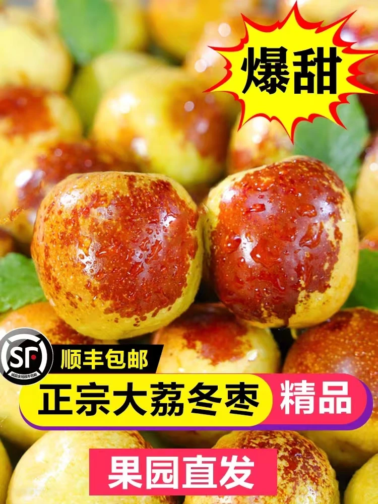 陕西大荔冬枣新鲜应季脆甜多汁现摘现发顺丰包邮