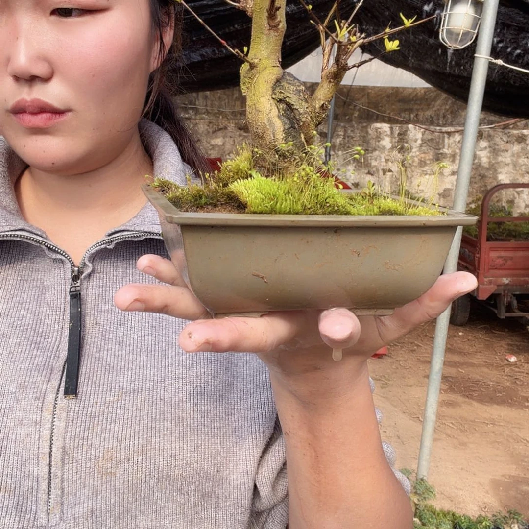 用***5无花朵那个非公经济个