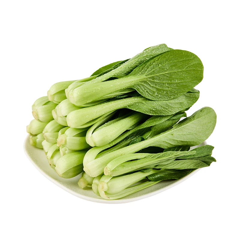 有机鸡毛菜270g