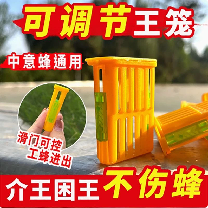 新型双侧滑门囚王笼多功能蜂王笼中意蜂通用介王笼控王笼养蜂工具