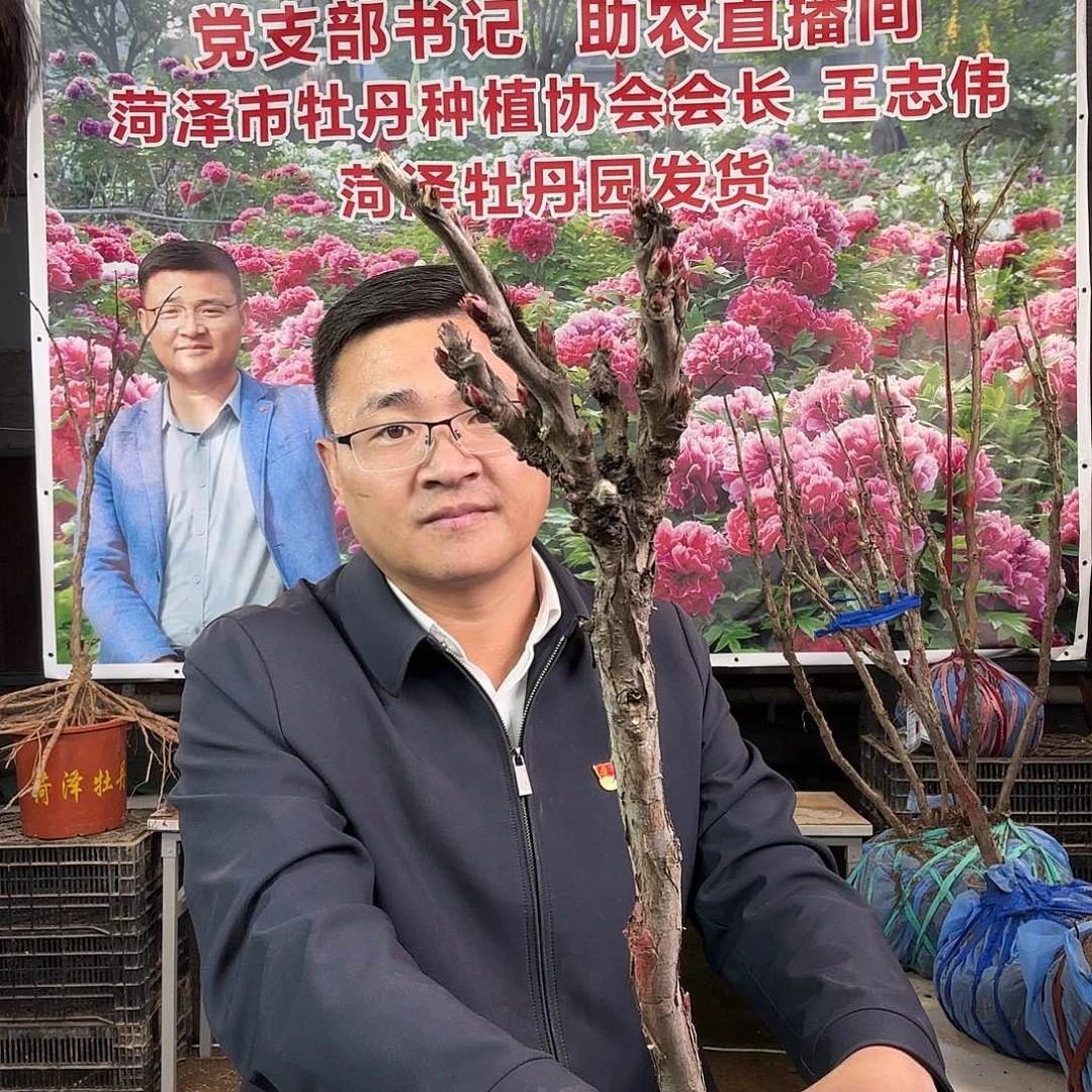 冰***凌完全开放方剂260元