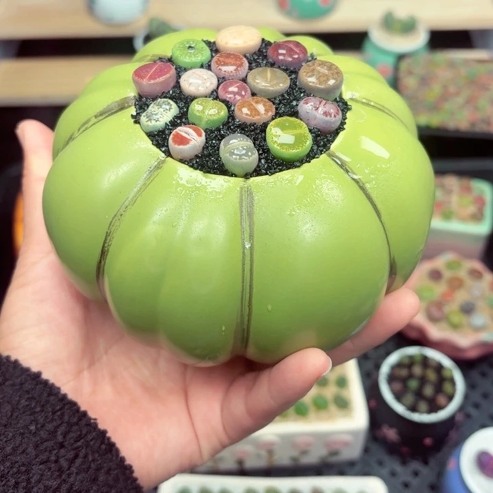 890零下地区记得拍保温箱满18包邮