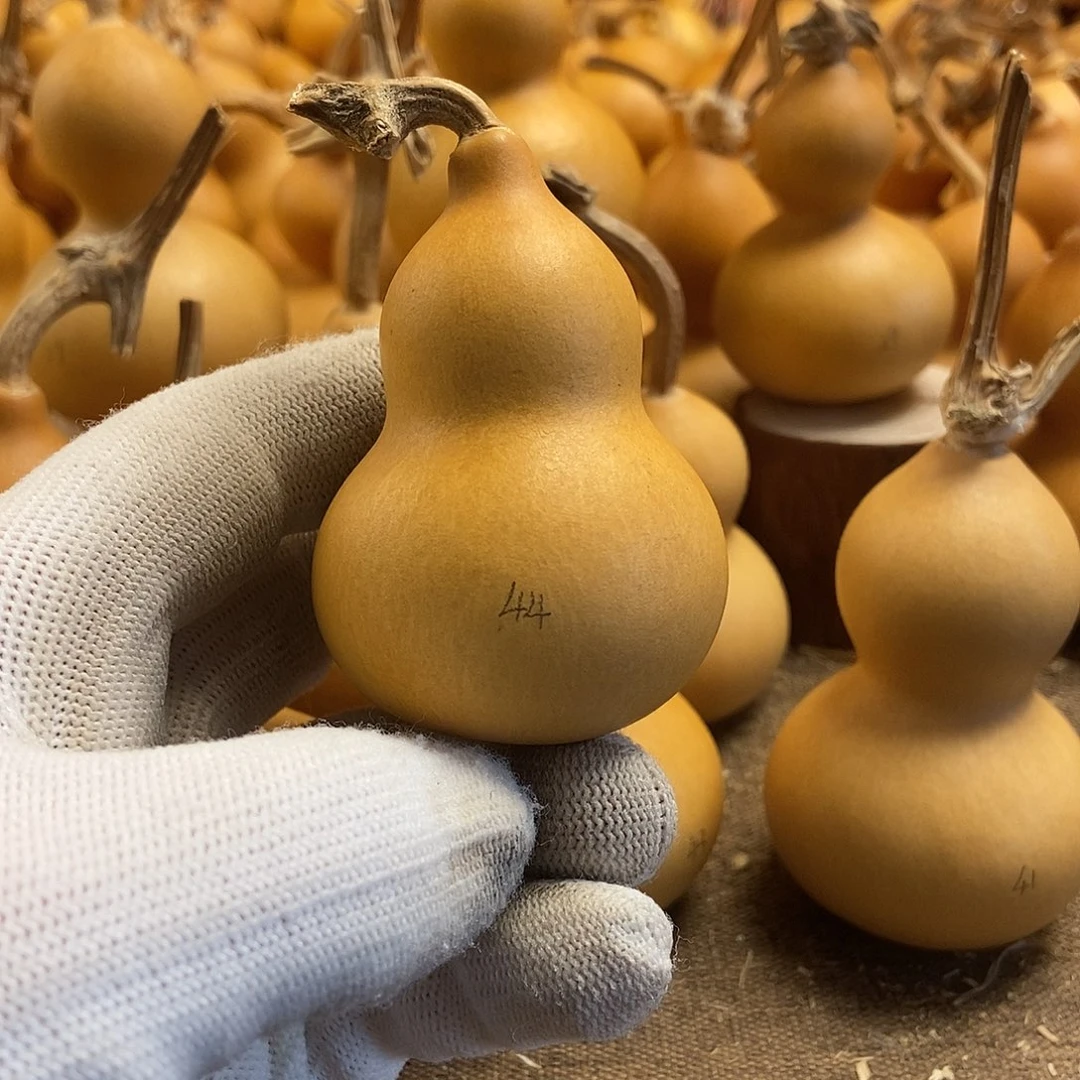 文玩葫芦 完美主义者 慎拍44