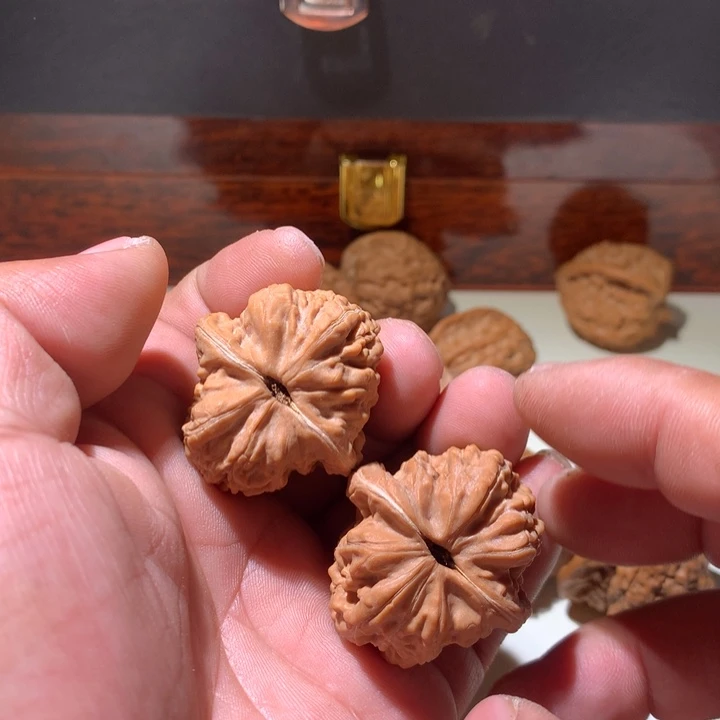 文玩核桃把件T*K赤龙