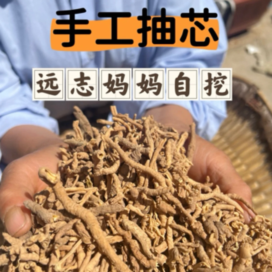 中药材远志农家妈妈自挖野生抽芯无硫