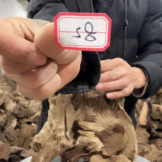 用****4紫砂噜啦啦啦啦啦啦