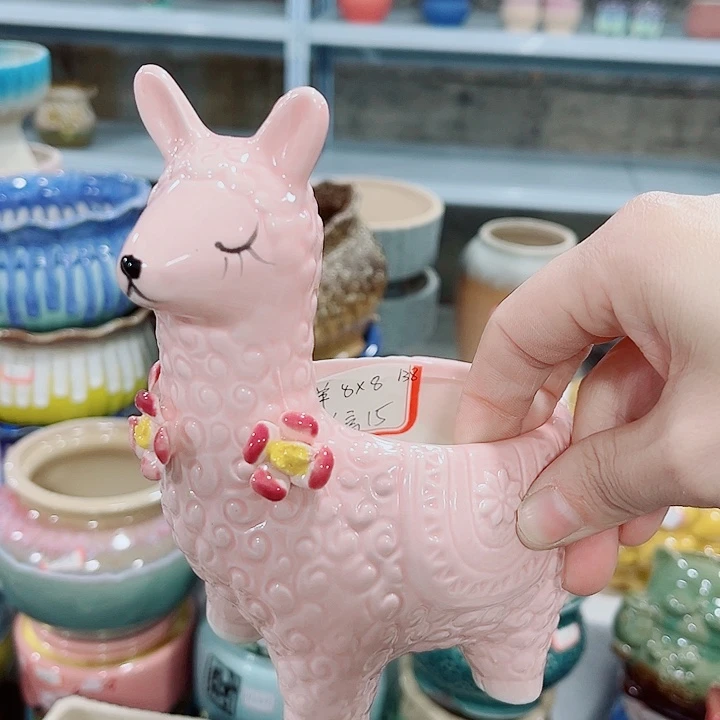 多肉花盆满10元包邮