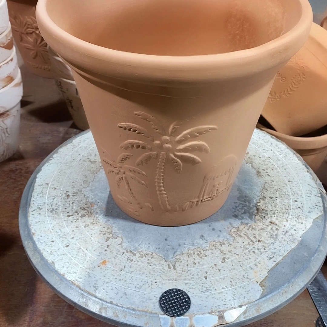 微瑕椰树20×19-1