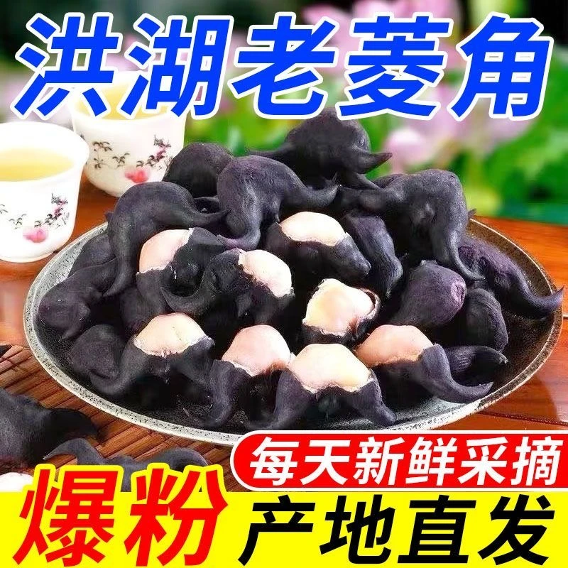 【现摘现发】洪湖特产老菱角新鲜清香粉糯菱角新鲜蔬菜1斤3斤5斤