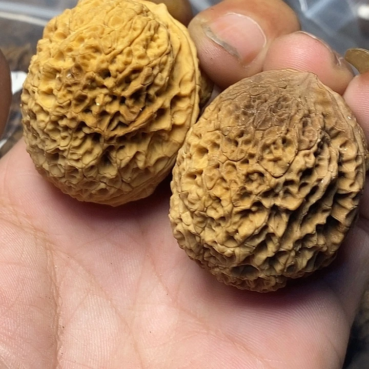 把件文玩核桃云南铁核桃87