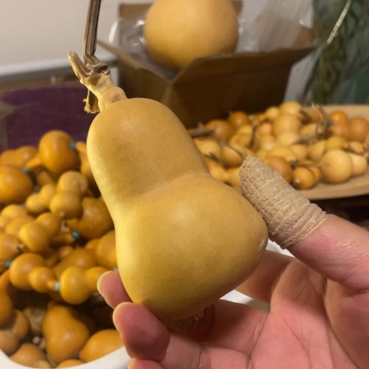 看好下单不保龙头