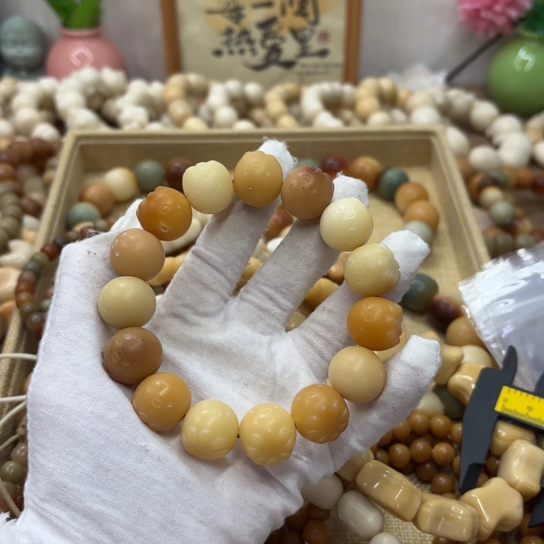 吊坠菩提根/象牙果17干磨瑕疵落地果995