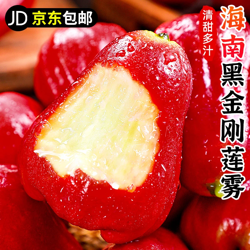 【京东包邮】海南黑金刚莲雾果2-5斤新鲜热带水果红宝石清甜多汁