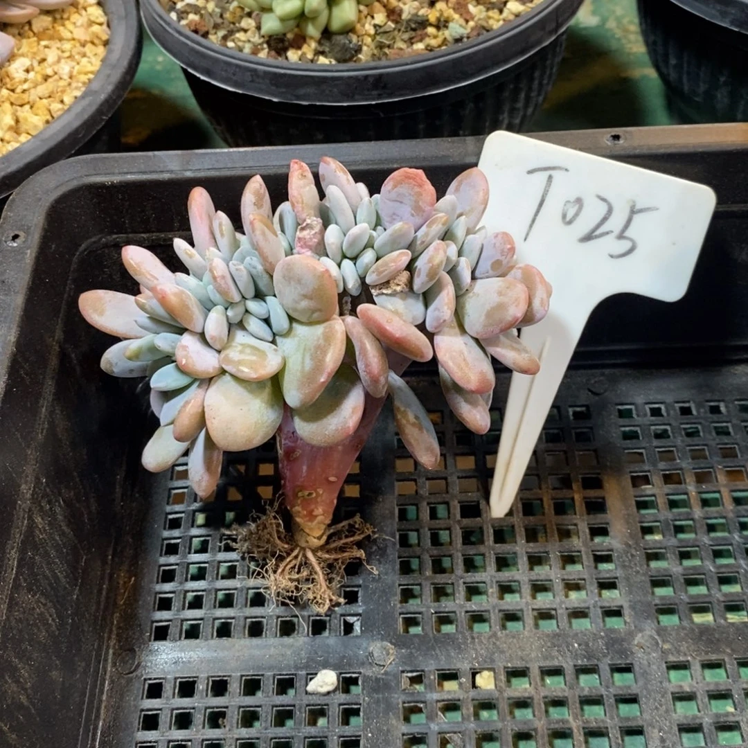 025号楼一楼一个女生都不来找她