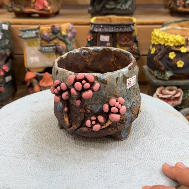 陶然多肉花盆百搭
