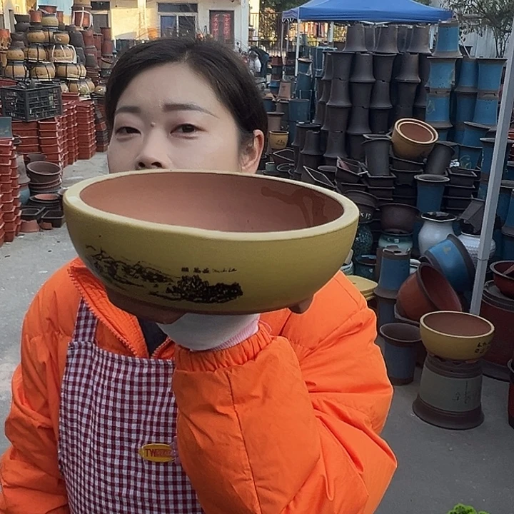 黄色江山如画小一个花盆花盆