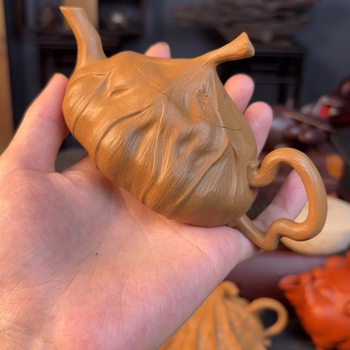 茶壶紫砂蝶**虫是因为有个老师给的一次