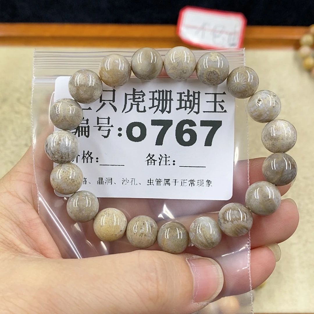 硅化珊瑚（珊瑚玉）1未镶嵌玲*啊