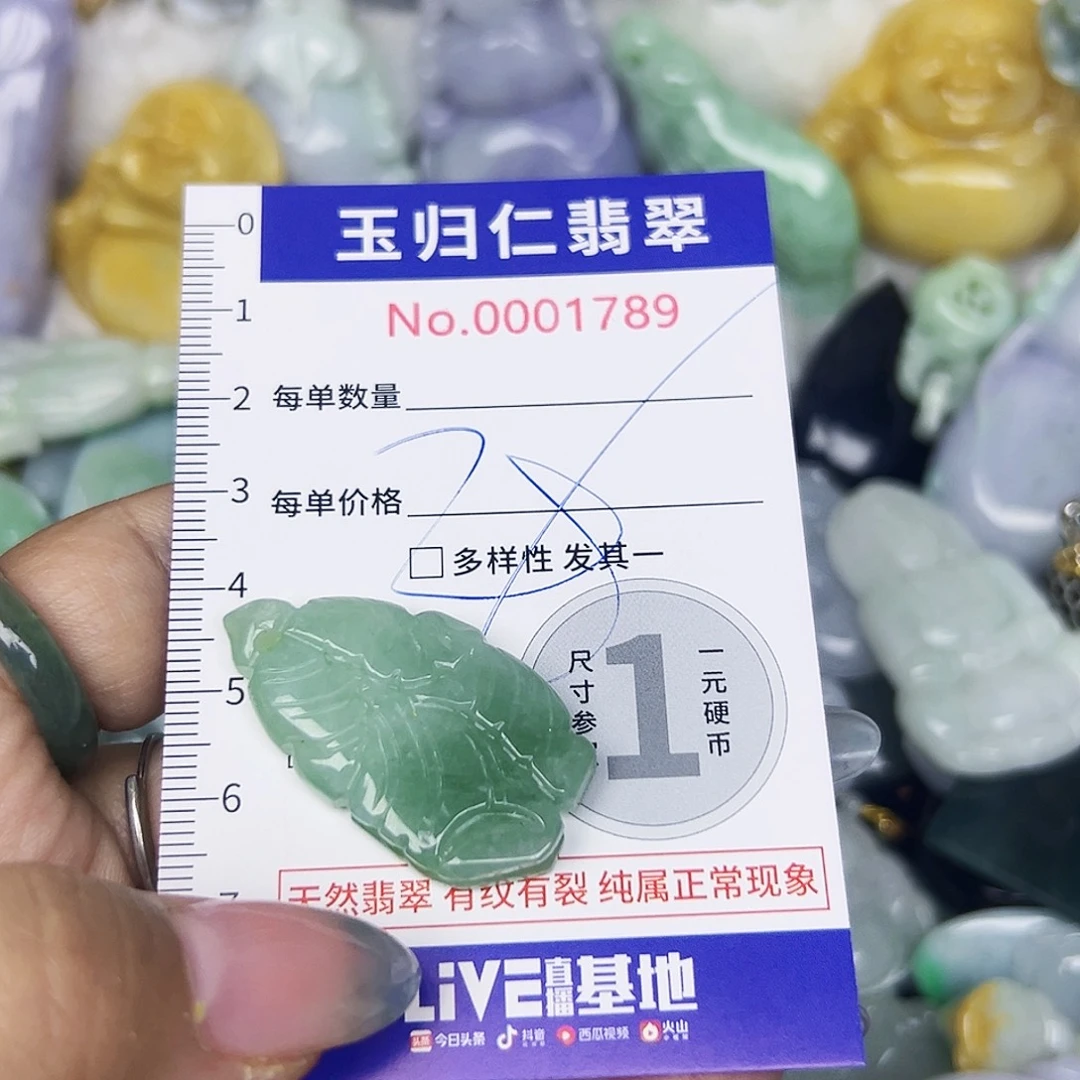 翡翠未镶嵌颈饰111