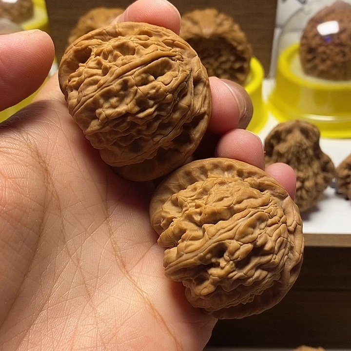 文玩核桃把件白狮子头全品