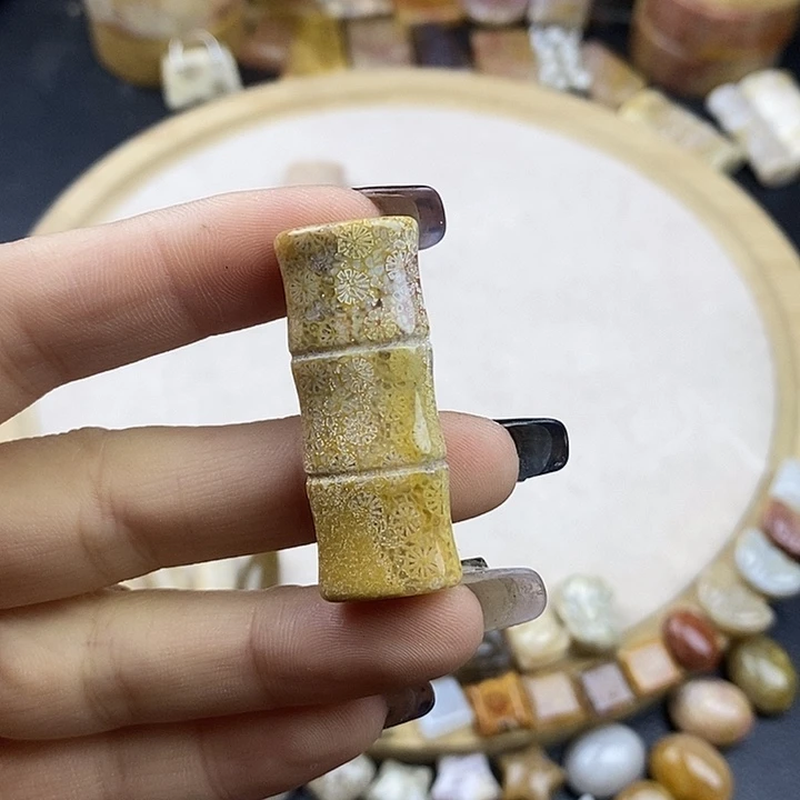 硅化玉未镶嵌颈饰