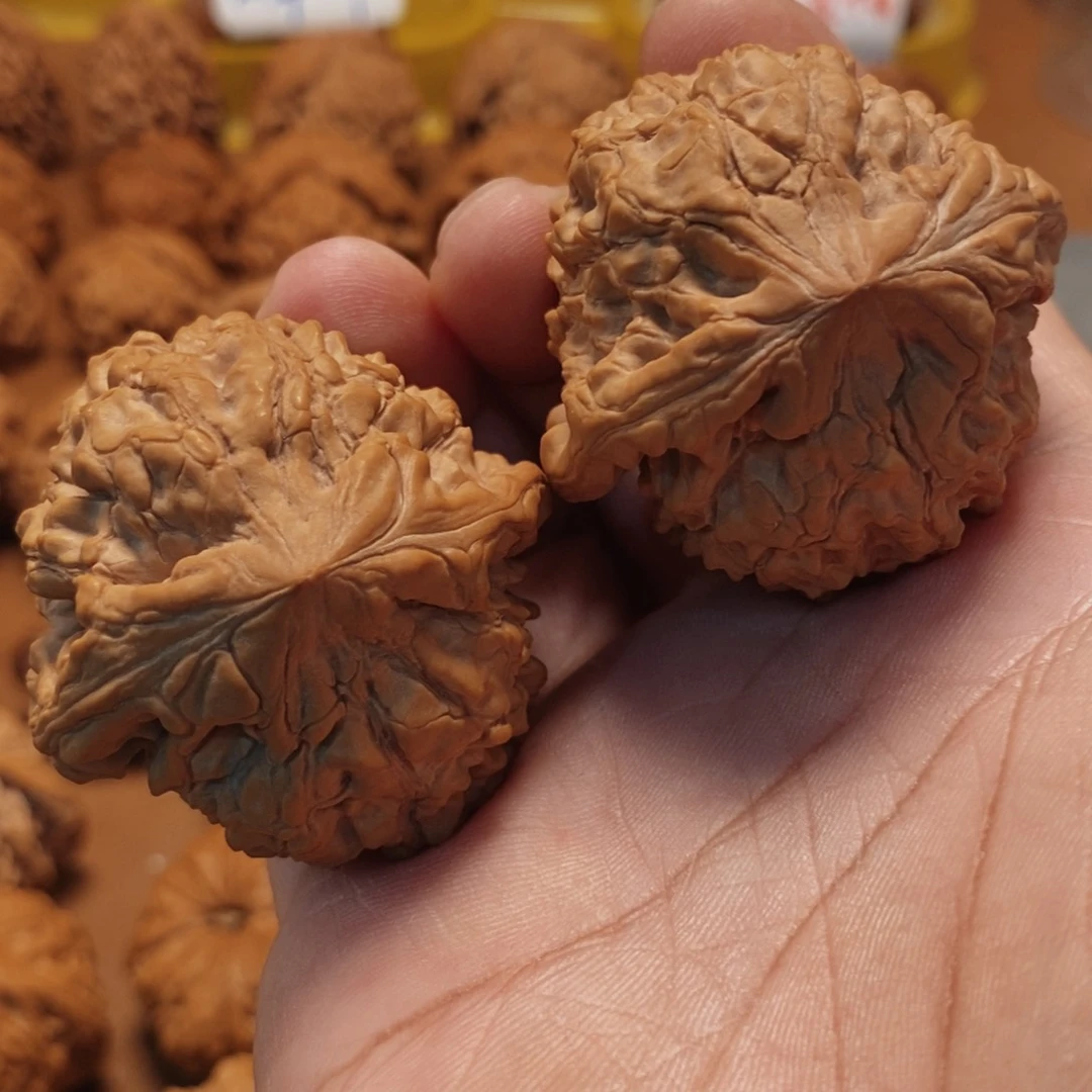 文玩核桃把件醉*康45尺 全品龙鼎 40