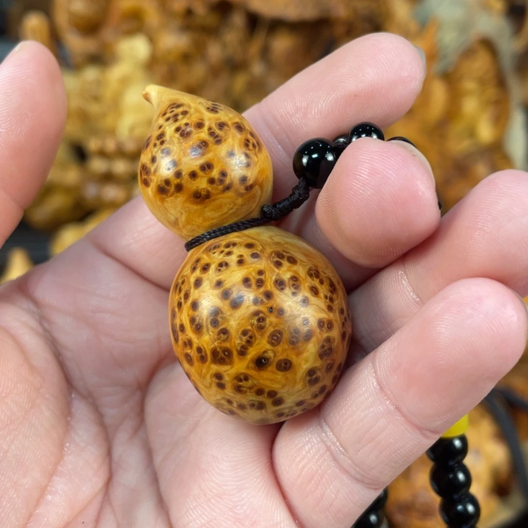 柏木（崖柏）太行崖柏