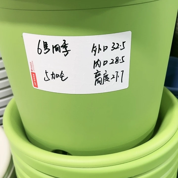 特价6号口32.5高27白色4只无托