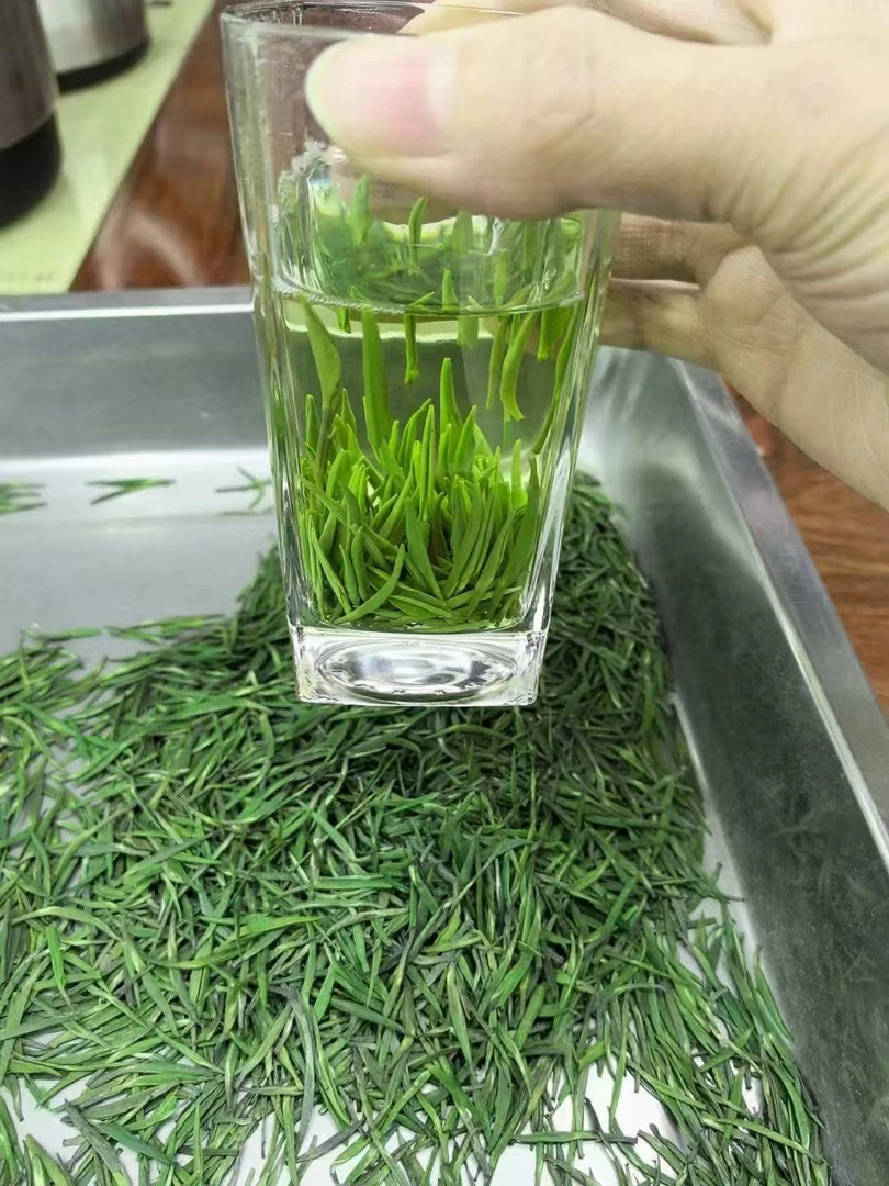 保康高山松针绿茶嫩芽清香回甘耐泡茶叶礼盒装5号