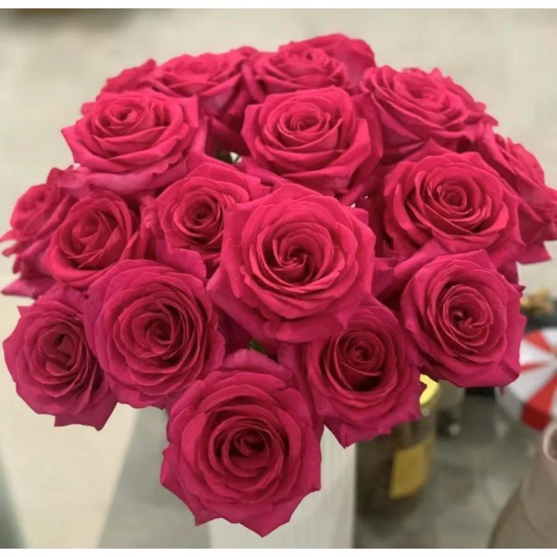 【弗洛伊德单头玫瑰】 云南直发同一地址两单顺丰/德邦 +送保鲜剂