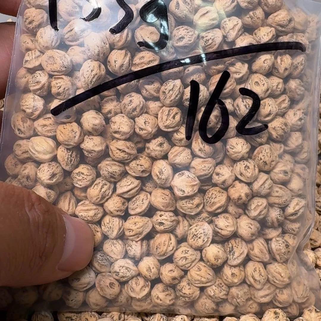 柏香籽/百香籽吊坠阿*