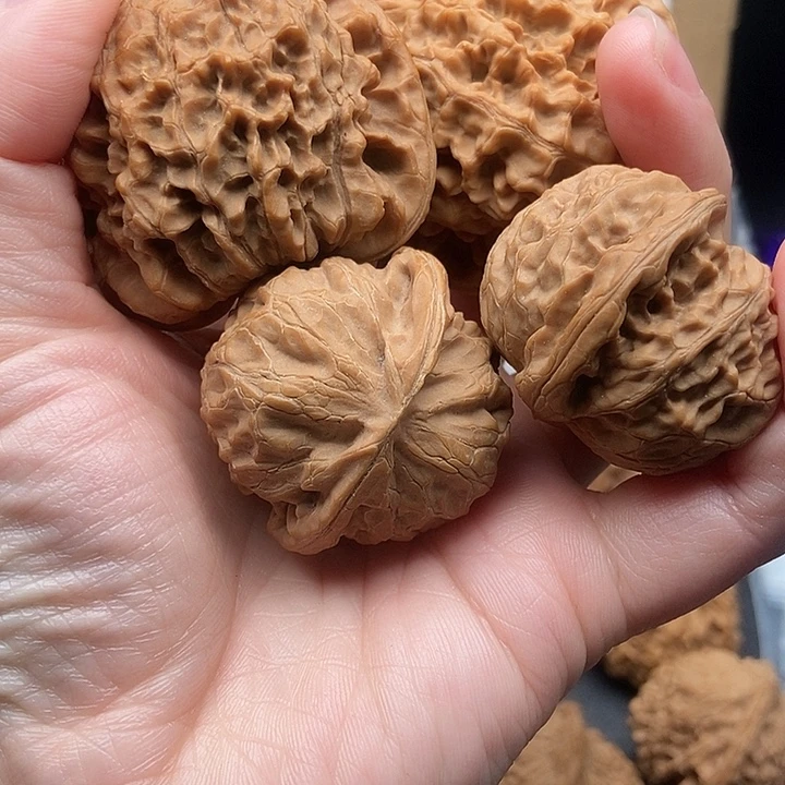 助***乐大大大大大大大官帽差尺宫灯黄