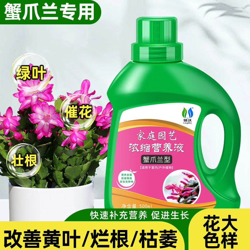 【拍二发四】领沃蟹爪兰超浓缩植物营养液花卉植物专用盆栽家用养花