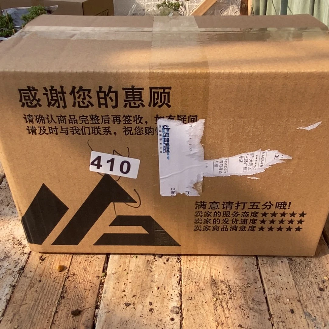 枝干番杏多肉植物410